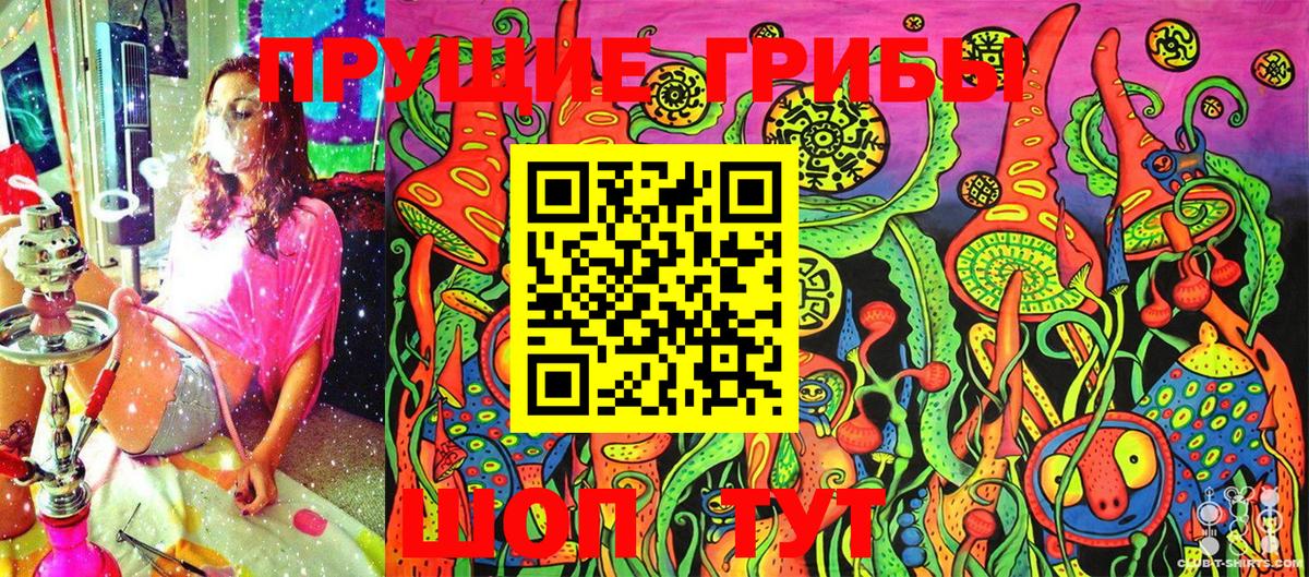 Великие Луки  Псилоцибиновые грибы Psilocybe  Вход с VPN 